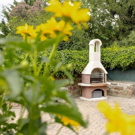 Ferienhaus Am Bergeshang Blankenburg  Eksteriør billede